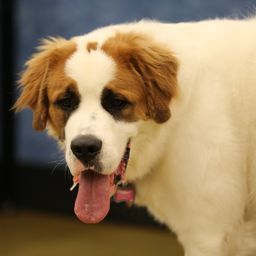 photograph by PeterW